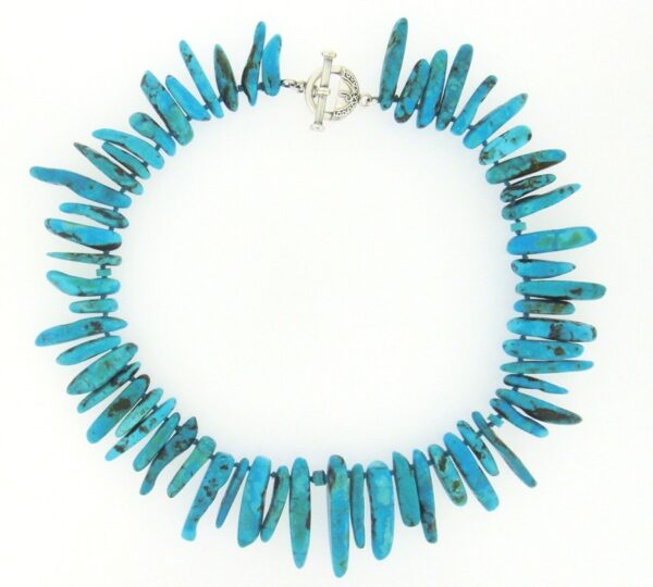 A turquoise necklace with silver toggle clasp.