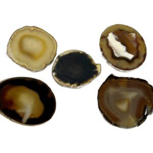 A group of five brown agate slices sitting on top of each other.