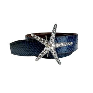 A blue belt with a silver star on it